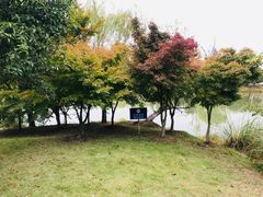 -梁鸿国家湿地公园