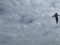 -南戴河旅游度假区