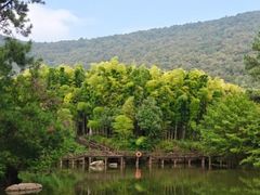 -宝岩生态观光园