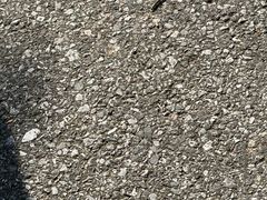 -嘉北郊野公园