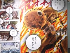 -东京塔海贼王主题公园