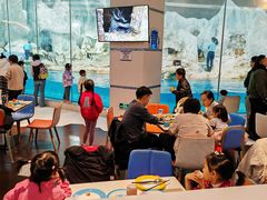 -帝企鹅自助餐厅•儿童岛•真企鹅(长隆企鹅酒店)