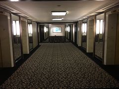 -新加坡乌节希尔顿酒店 (SG Clean)