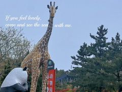 -西霞口神雕山野生动物世界