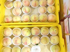 -老袁家蜜桃农场·阳山水蜜桃