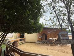 -HERRE·FARM 赫尔露营农场·团建聚会包场