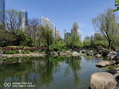 -新虹桥中心花园