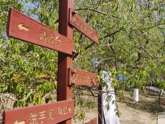 -桃花堤公园