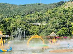-西双版纳原始森林公园