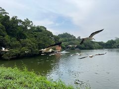 -广州长隆野生动物世界