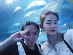 -厦门海底世界