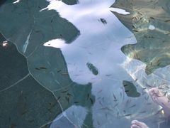 -苏州湾·王焰温泉