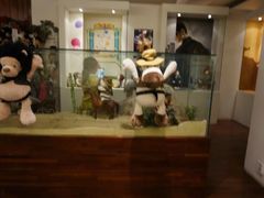 -济州岛泰迪熊博物馆