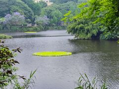 -重庆彩云湖湿地公园