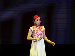 -陕北民歌大舞台