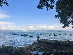 -抚仙湖禄充风景区