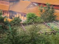 -大伊山景区