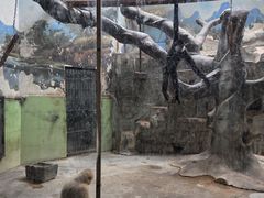 -石家庄市动物园