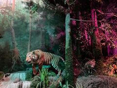 -武汉园博园(武汉自然博物馆)