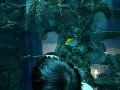 -乐从天佑城海洋馆