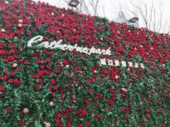 -UNI UNI(环亚凯瑟琳店)