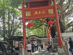 -侨美·唐荔园·40年地道粤菜