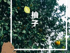-乌镇东栅景区