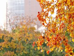 -上海交通大学(闵行校区)