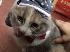 -红棚子肚绷·徐州烧烤(南京店)