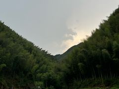-杨家堂村
