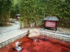 -森波拉火山温泉