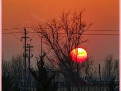 -高家烧鸽子烧烤店63年