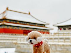 -故宫博物院(故宫)