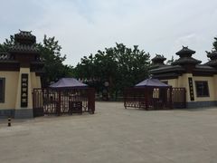-御林古桑园