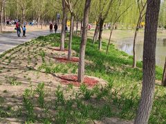 -东郊湿地公园