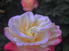 -人民公园(罗湖区)