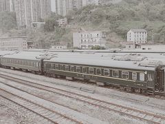 -菜园坝水果市场