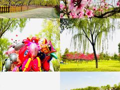 -洨河生态公园