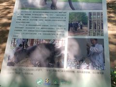 -野象谷景区