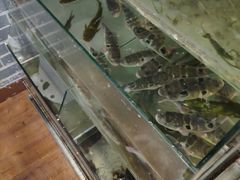 -观桥阁(锦溪店)