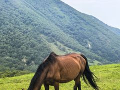 -灵山