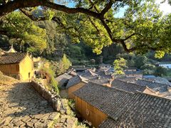 -杨家堂村
