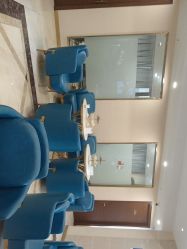 -碧莲盛·不剃发植发