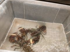 -上名堂·鱼头好吃(体育场路店)