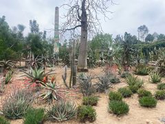 -东莞植物园