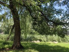 -承德避暑山庄景区