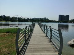 -美兰湖景区