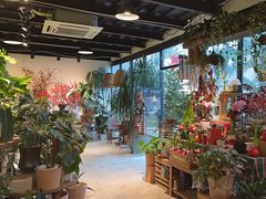 -自由生长植物工作室(深港花卉中心店)