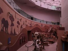 -陕西自然博物馆