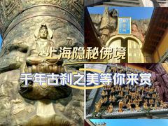 -上海东林寺(金山区)